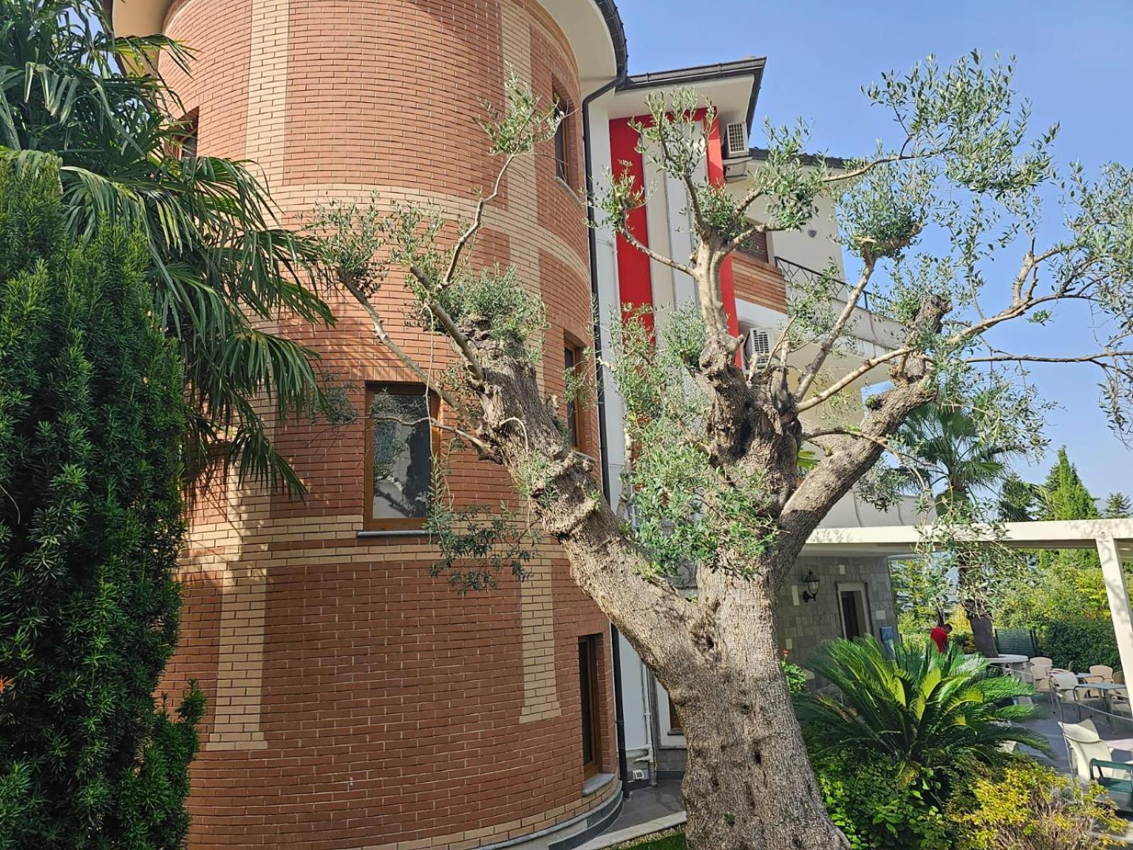 Hotel Sirio Rotonda Exterior foto